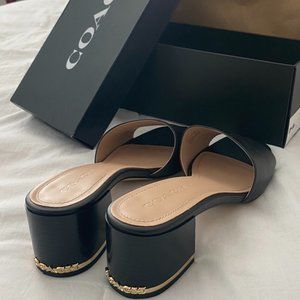 Coach Leather Sandals